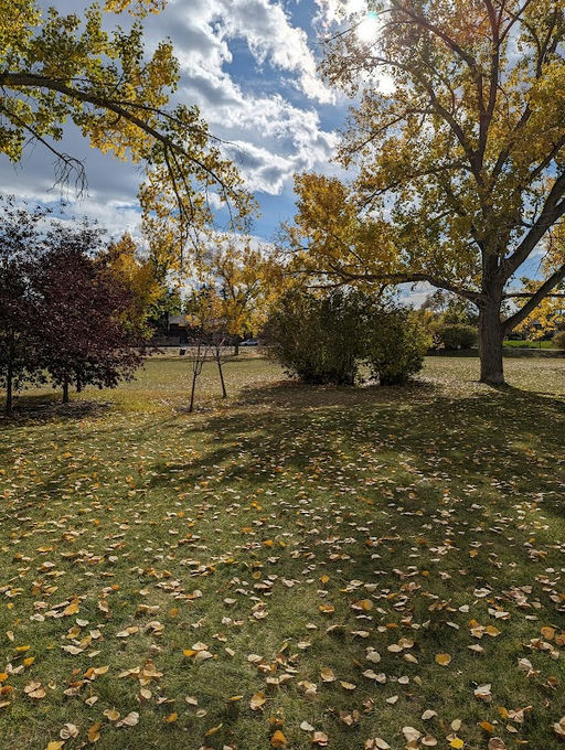Playground, Hounsfield Heights/Briar Hill