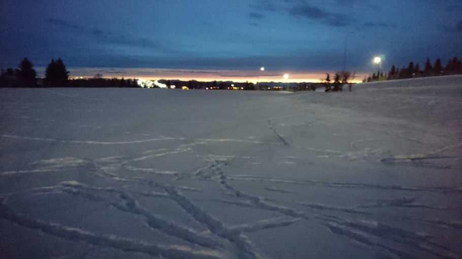 Dalcastle Cr NW Playground