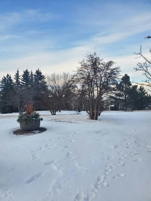 Edgebrook Ci NW Playground