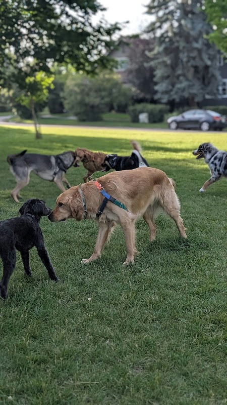 Playground, Scarboro
