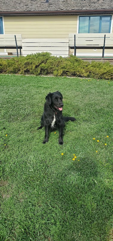 Playground, Silverado