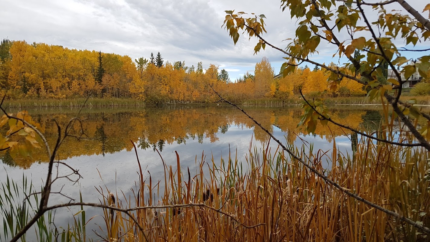 Playground, Rocky Ridge