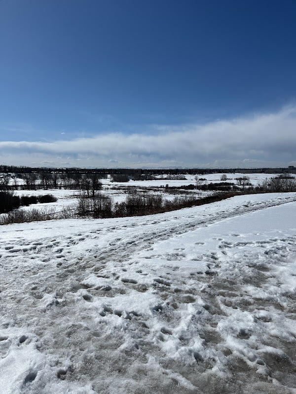 Parkwood Wy SE Playground