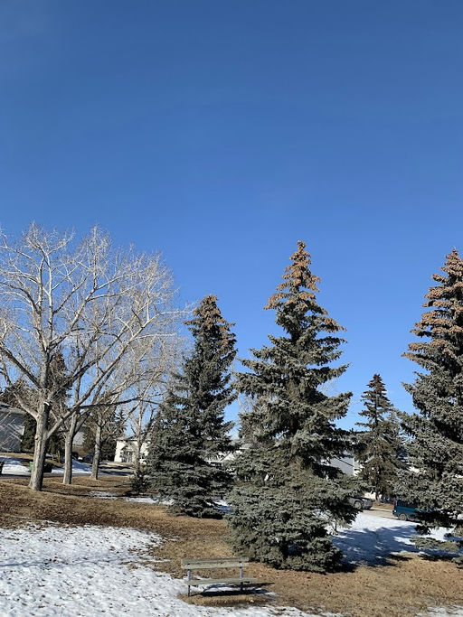 Playground, Winston Heights