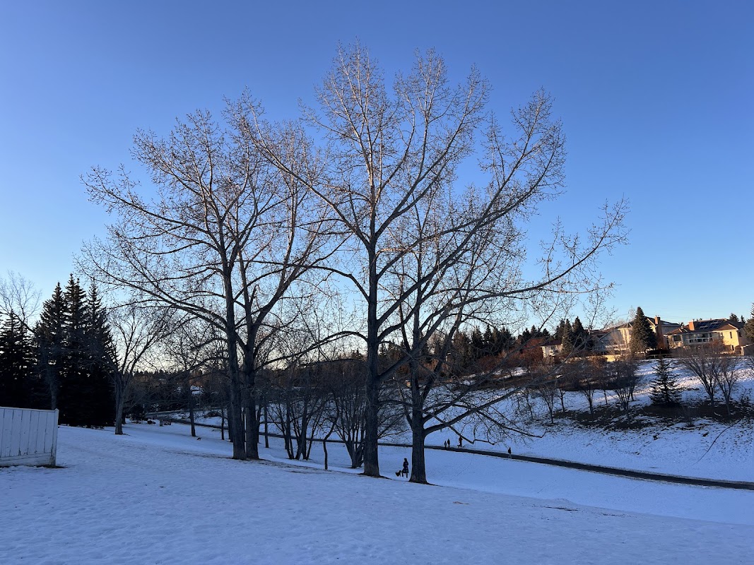 Vallance Cr NW Playground