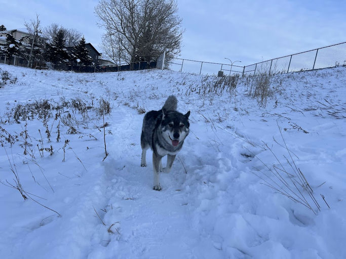 Hidden Gr NW Playground