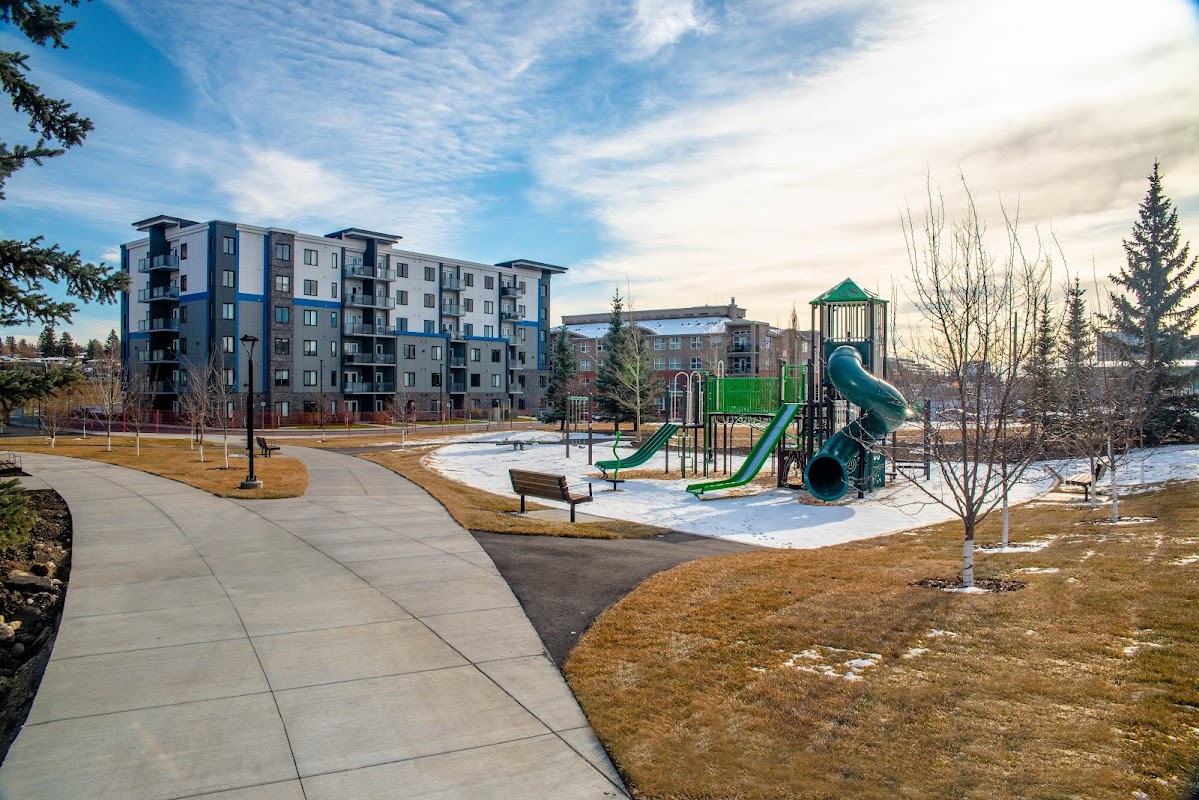 Playground, Kingsland