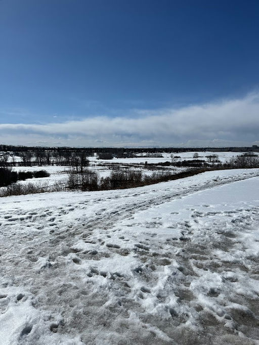 Parkwood Wy SE Playground