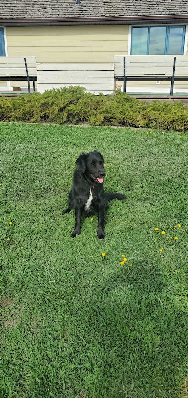 Playground, Silverado