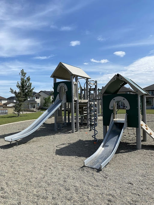 Saddlebrook Ci NE Playground