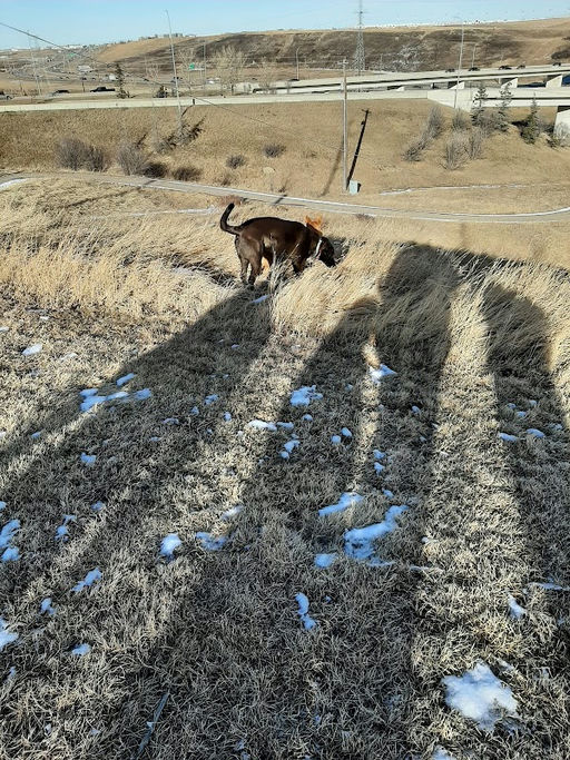 Huntstrom Dr NE & Huntstrom Rd NE