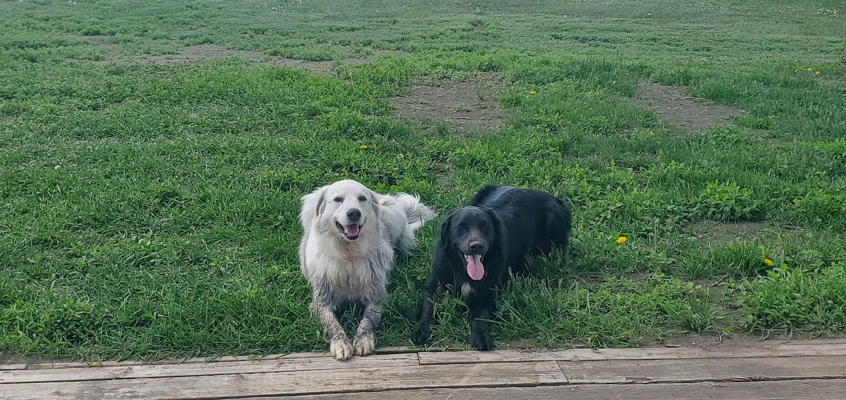 Castlebrook Ri NE & Castlebury Rd NE