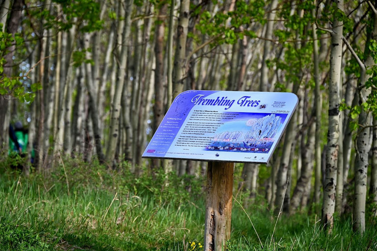Playground, Brentwood
