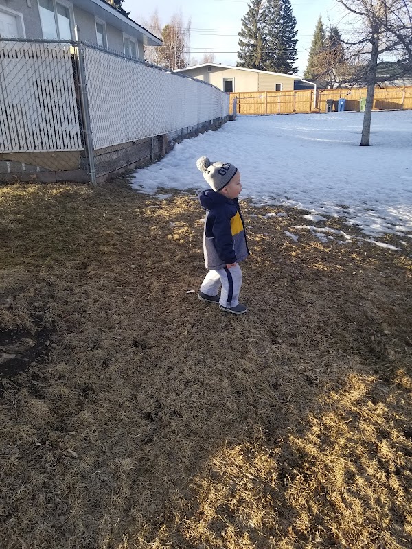 Playground, Willow Park