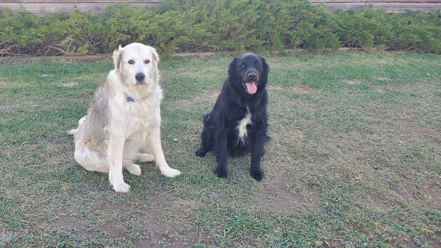 Hunterburn Hl NW Playground