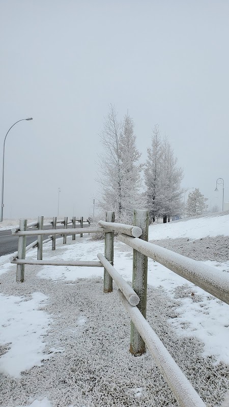 Childrens Wy & University Bv