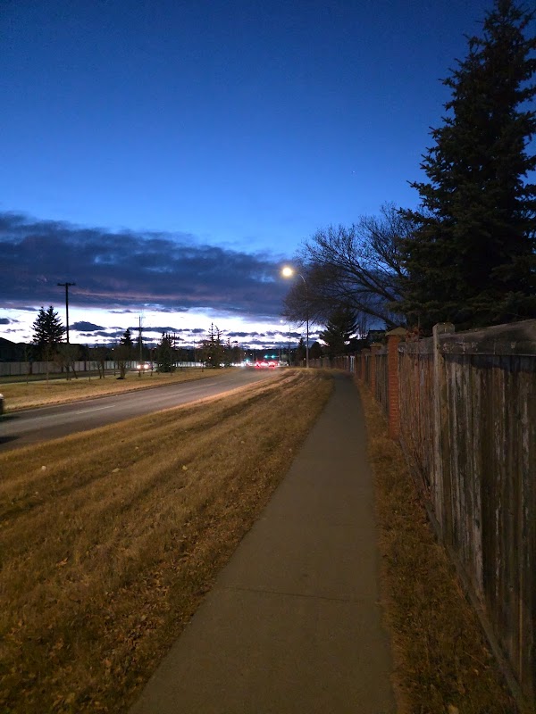 Playground, Evergreen