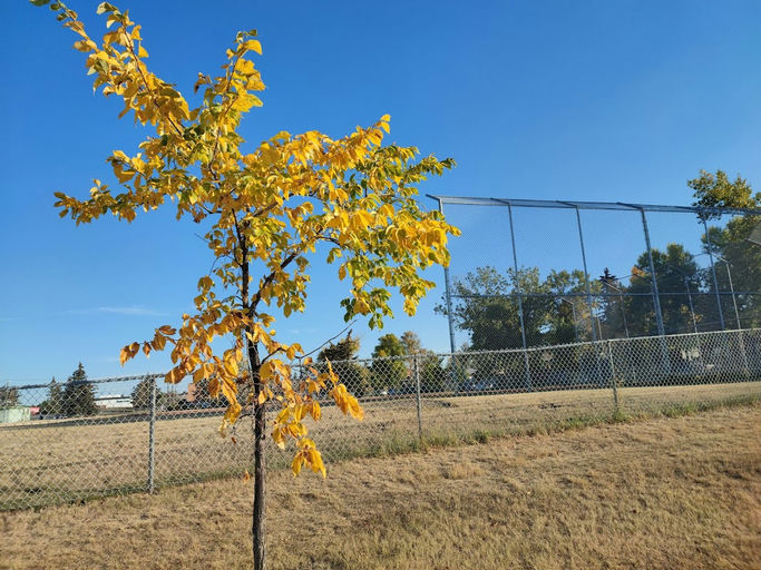 Playground, Mayland Heights
