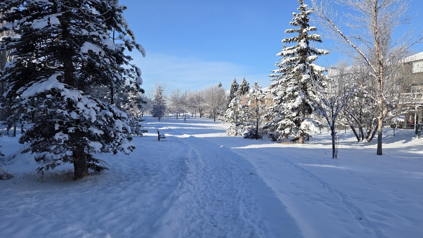 Playground, McKenzie Lake