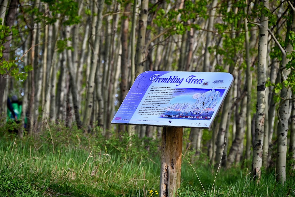 Playground, Brentwood