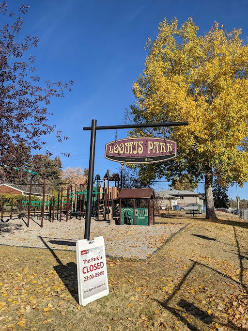 Playground, Kingsland