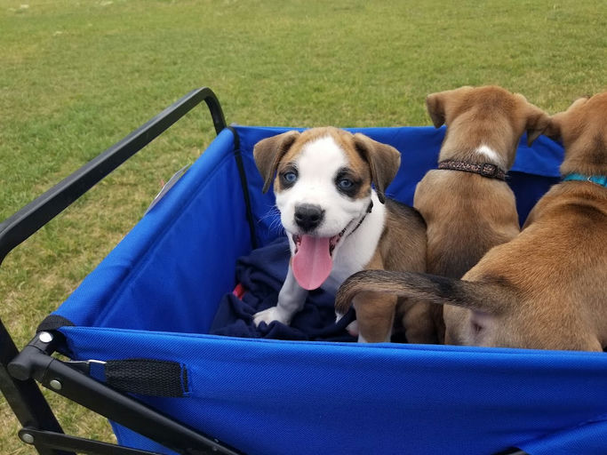 Auburn Sound Cr SE & Auburn Sound Vw SE