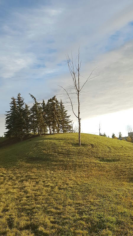 Copperfield Bv SE Playground