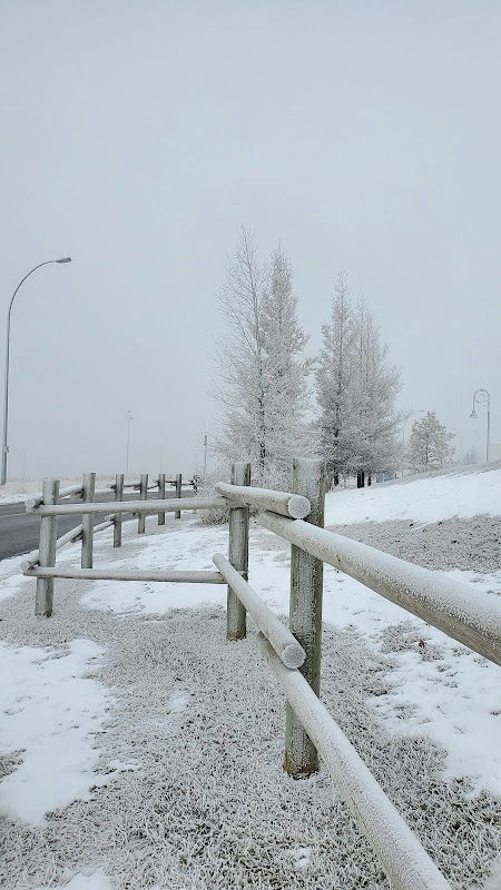 Childrens Wy & University Bv