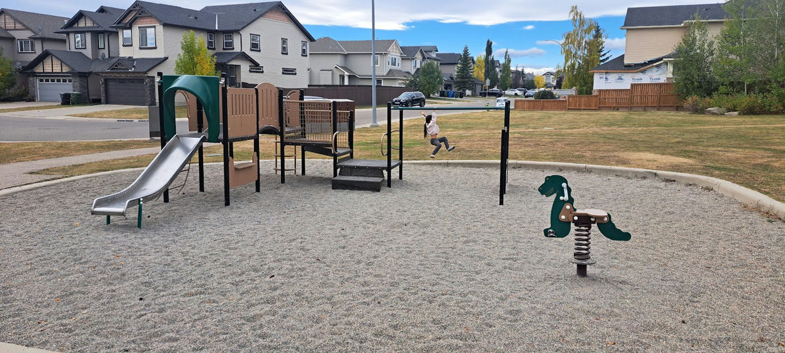 Royal Birch Wy NW Playground