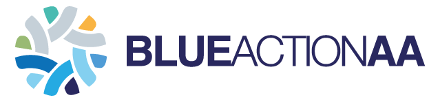 BlueActionAA- Transition Agenda Call