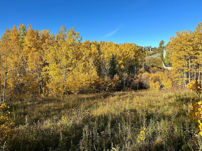 Aspen Stone Cr SW Playground