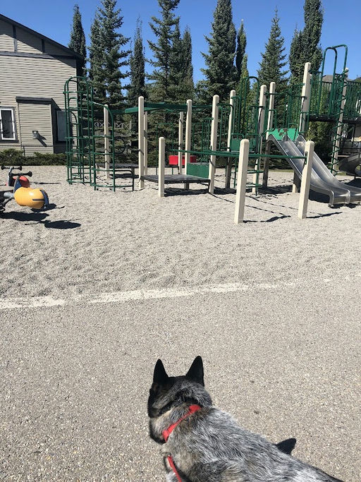 Tuscany Vista Cr NW & Tuscany Vista Rd NW