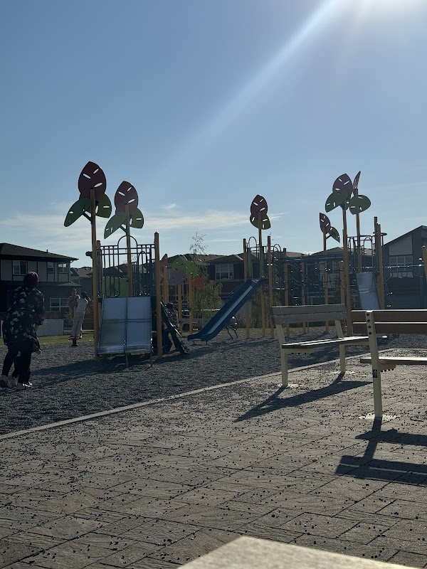 Cornerstone Ci NE Playground