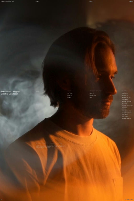 Viacheslav Novoseltsev website screenshot