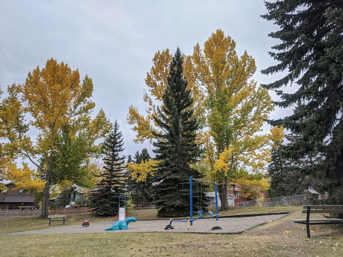 Coach Bluff Cr SW Playground