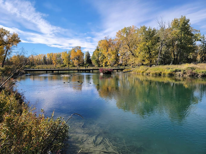 Inglewood Bird Sanctuary