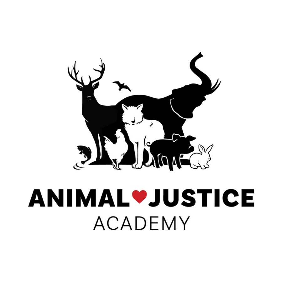 Advocacy Training Program