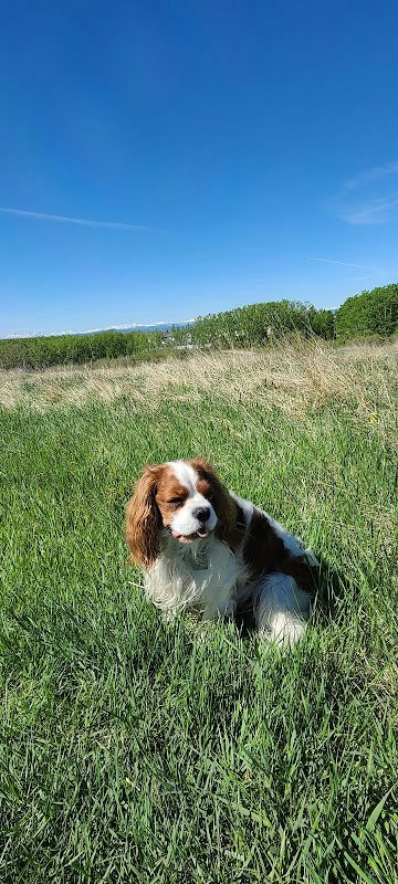 Tuscarora Pl NW Playground
