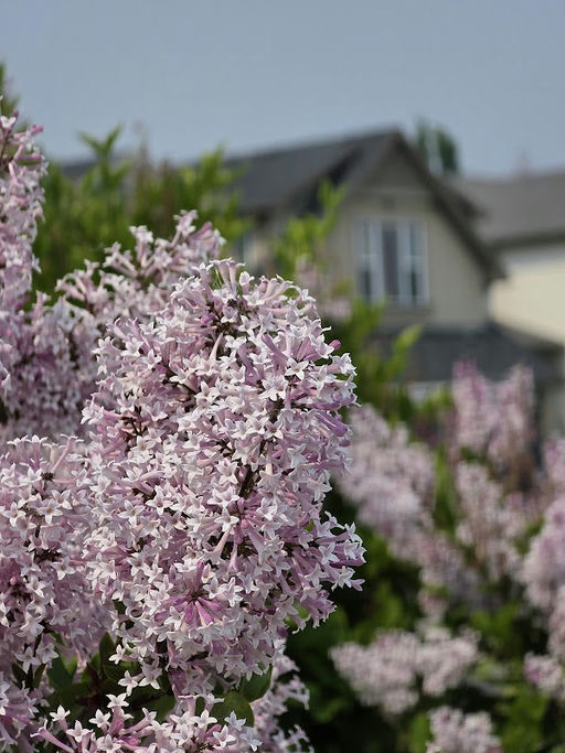 Playground, New Brighton