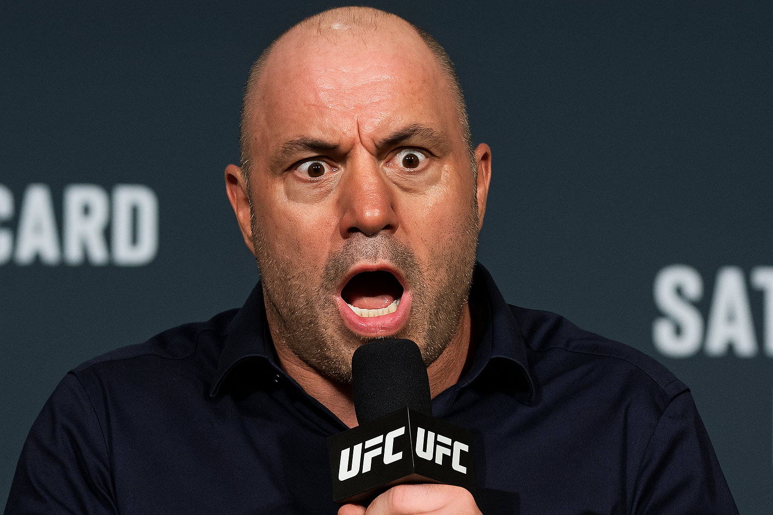 joe rogan