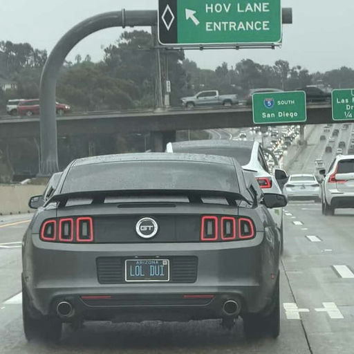 When your license plate is rolling probable cause - Uncategorized nominee at The Sloppies