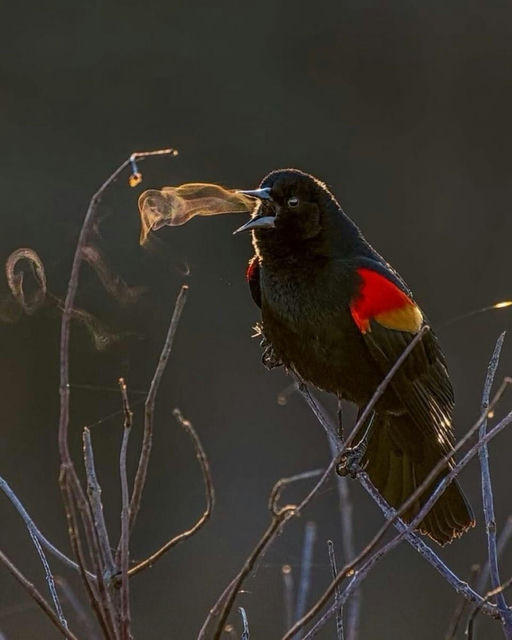 Cold Melod - Physics Doesn't Work That Way 🌀 nominee at The Sloppies