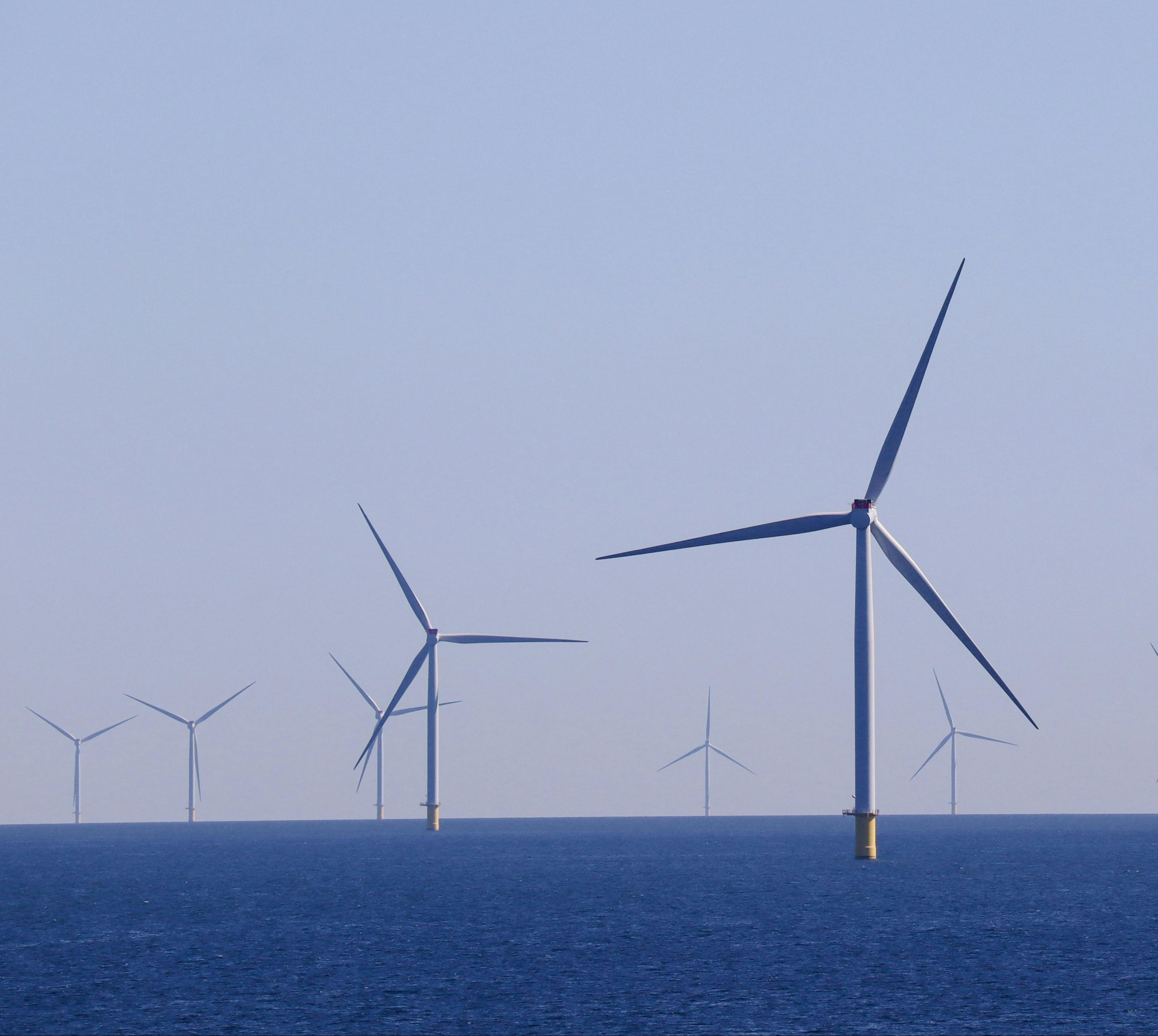 Expert workshop by Eklipse on offshore wind farm expansion and marine environmental impact
