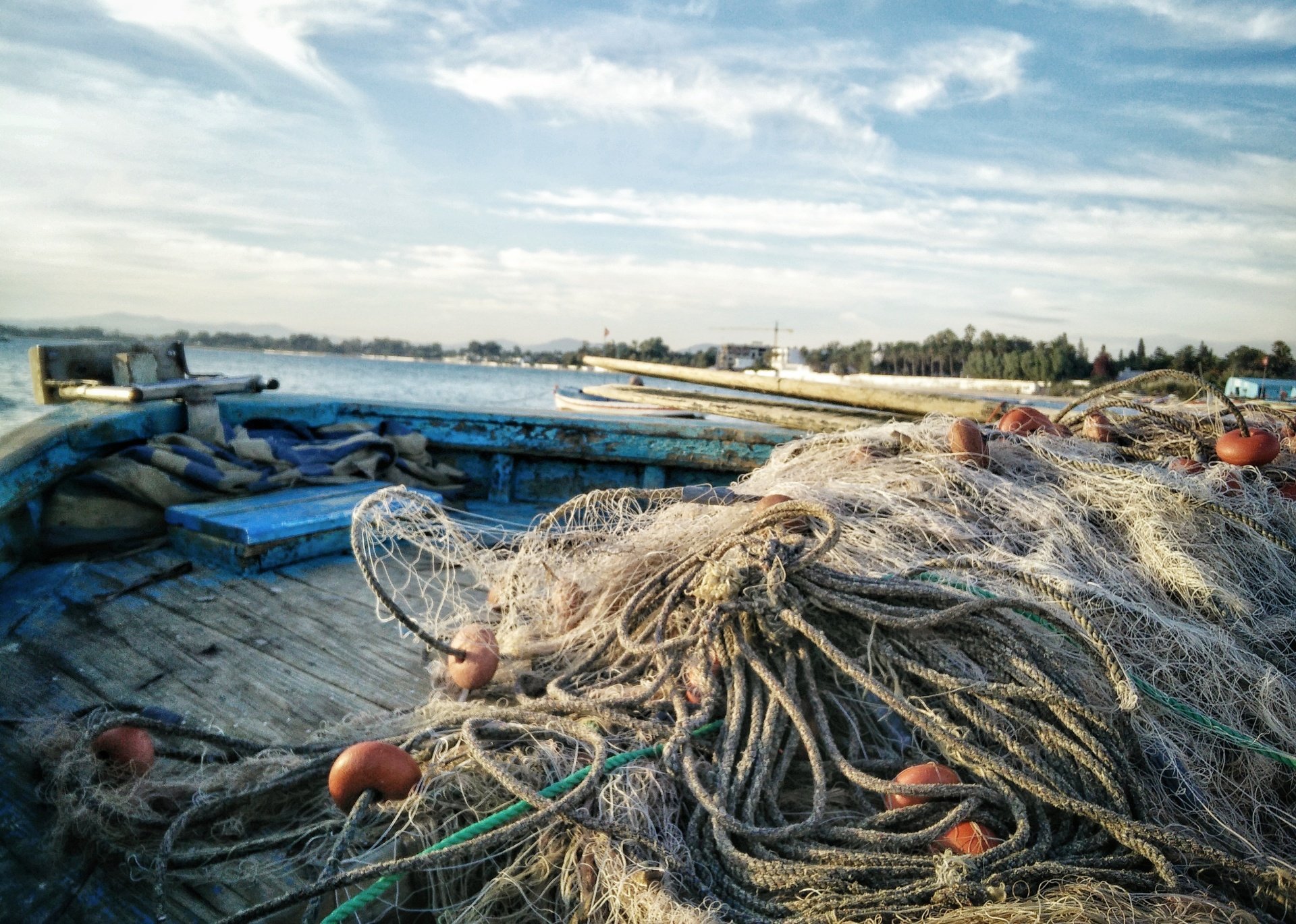 Workshop Marine Mammal and Bird Bycatch in the Baltic Sea
