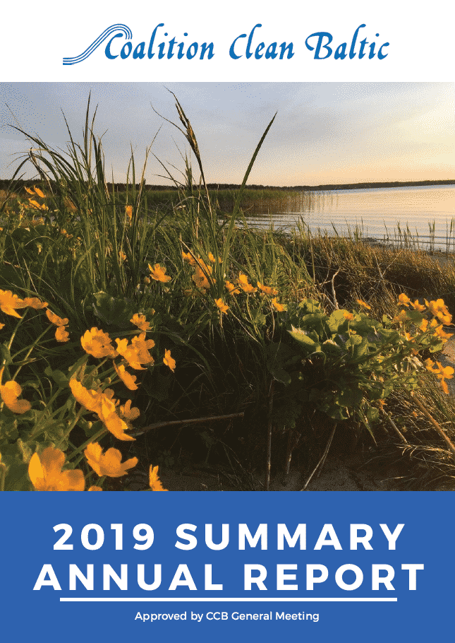 CCB Summary Annual Report 2019