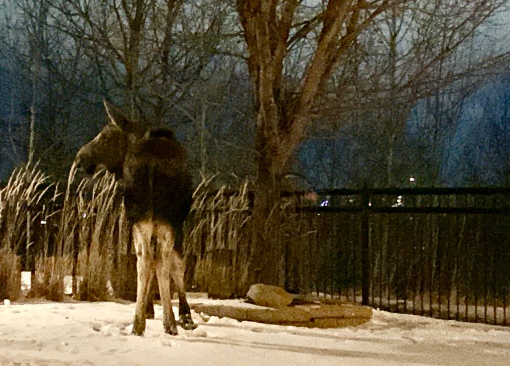 Tuscany Ravine Rd NW Playground