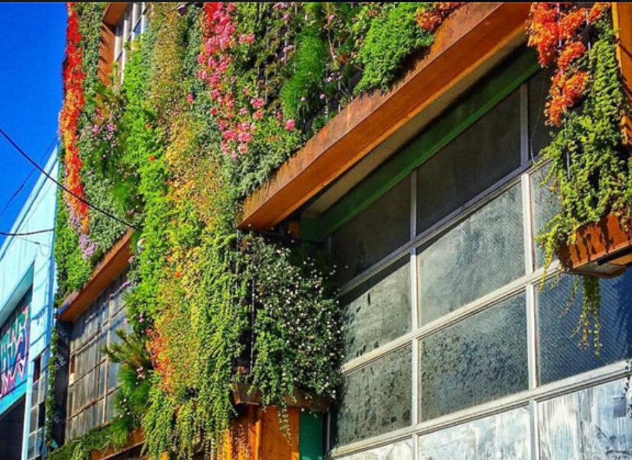 SafeHouse Community Dinner #2