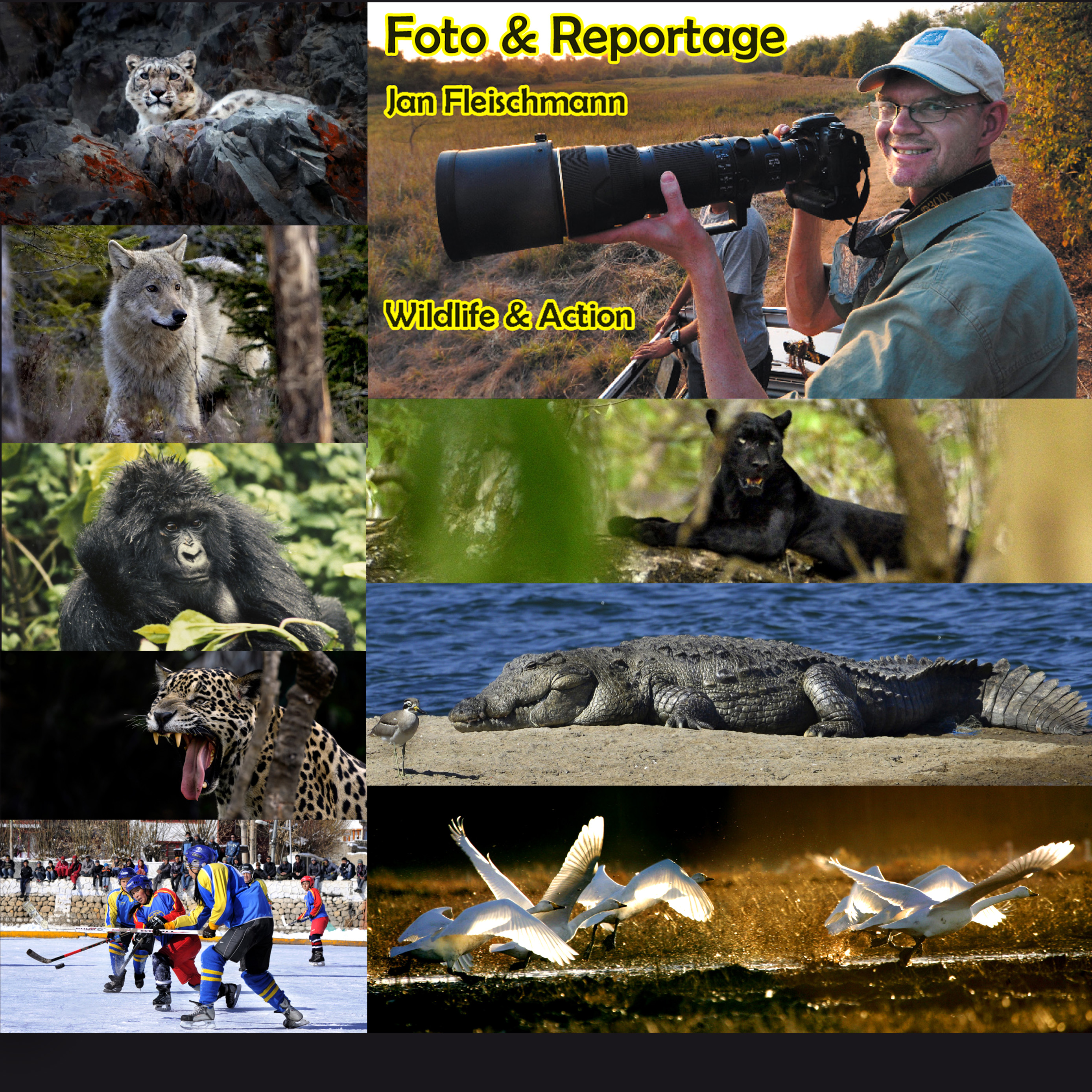 Foto och reportage Jan Fleischmann