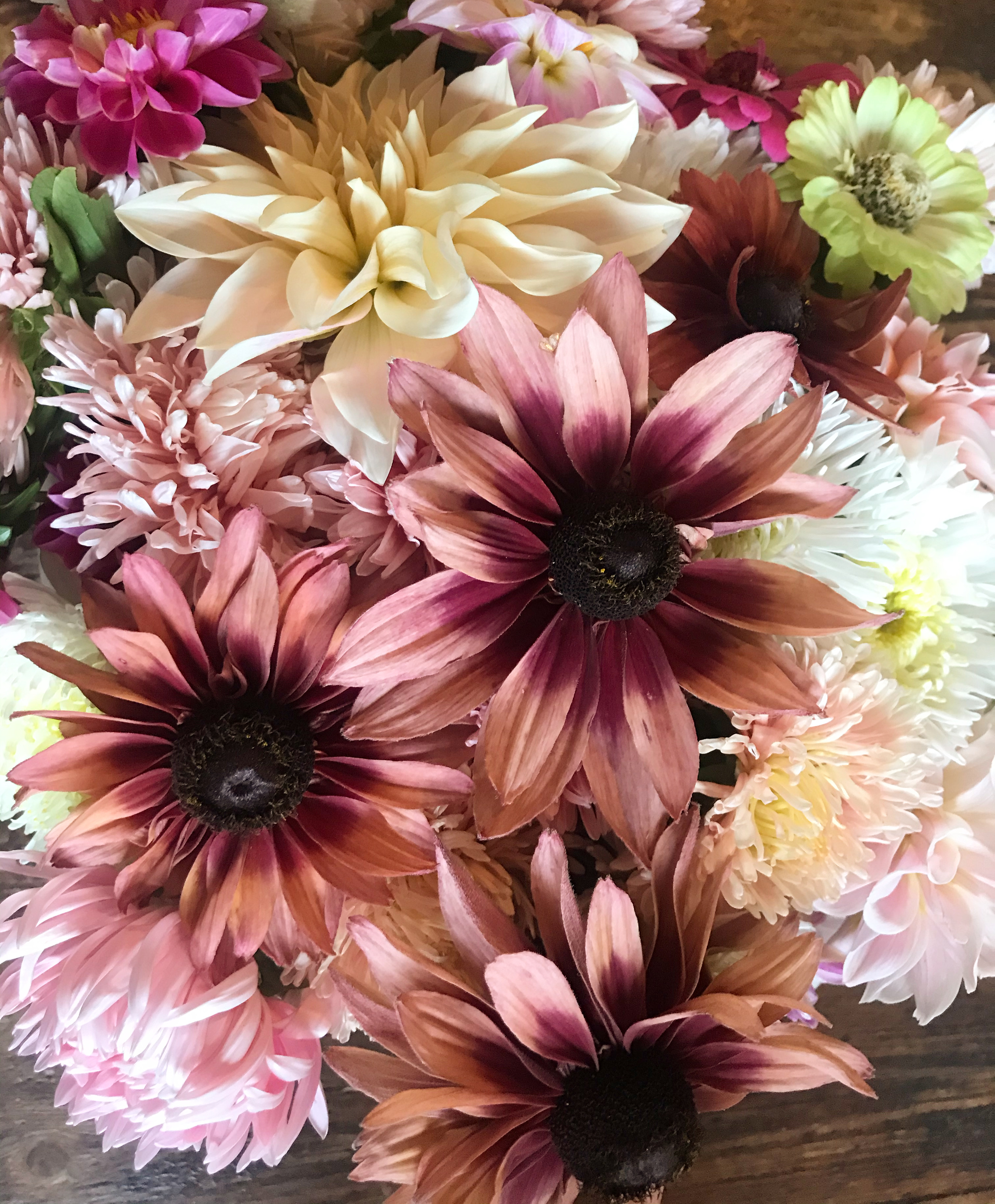 Bergets blommor Kinnekulle