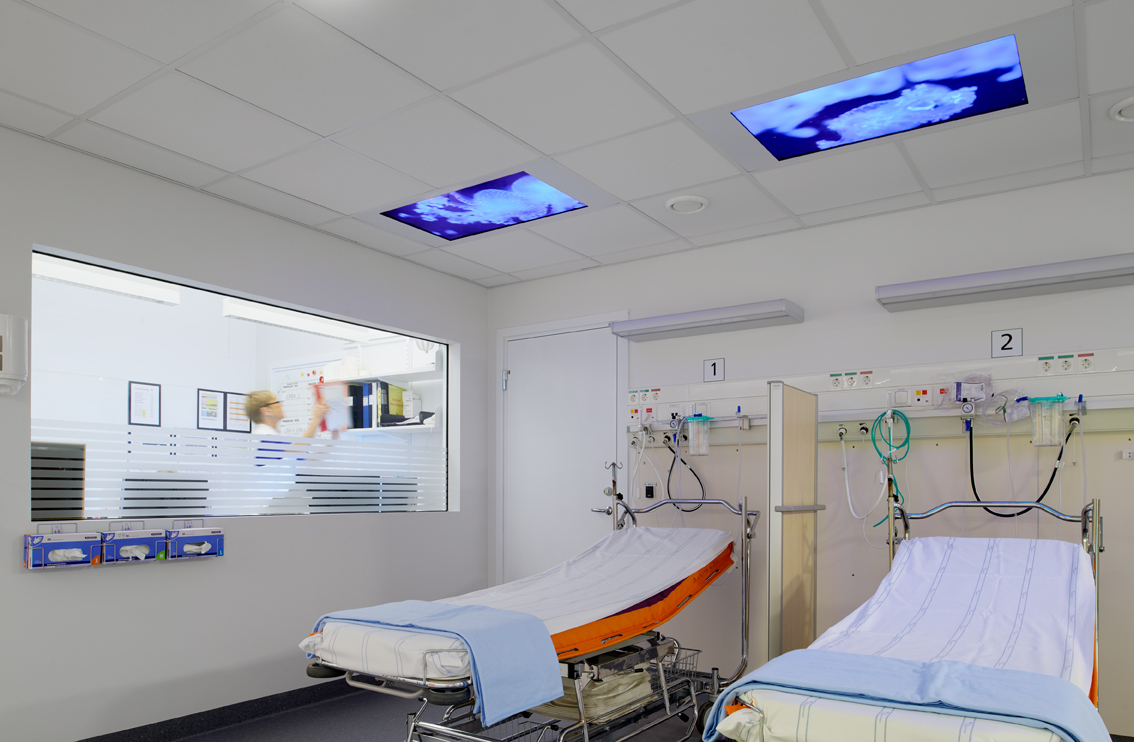 Carolina Jonsson Studio